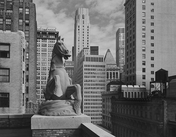 19th Floor, 25 Broadway, 1981.Sculpture: &quot;Sea Nymph and Horse&quot; by Rochette and Parzini.