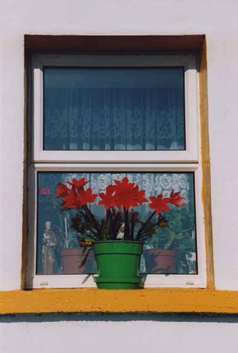 Window shrines, such as this one in Inishbofin Island off the west coast, are popular all over Ireland.