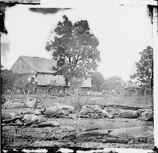 The Trostle Farm held one of the area’s largest barns, which is shown in this 1863 photograph taken soon after the battle. The Pennsylvania bank barn pictured here is one of the most familiar agricultural structures of the Mid-Atlantic region, particularly during the mid-1800s. This remarkable example combines stone walls on both ends and the door built into the hillside on the reverse side, which cannot be seen here. In the foreground, this image presents the startling record of animal carnage as a result of the battle. Each horse carcass threatened to spread disease to the community by hosting overwhelming populations of vermin and attracting other animals. Since disposal of horse carcasses was very challenging, most were taken off the field and burned. Photographer unknown. Source: Gettysburg National Military Park Archives.