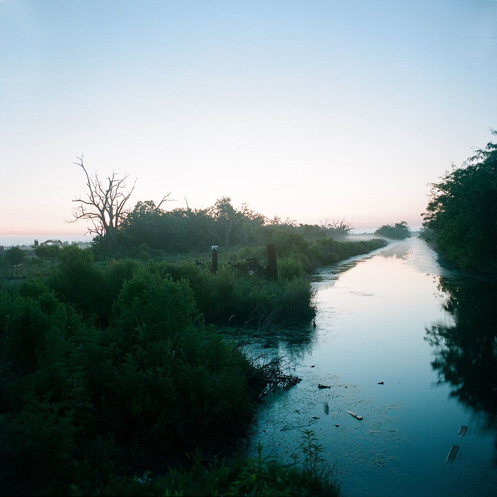 Bayou la Loutre, 2013.