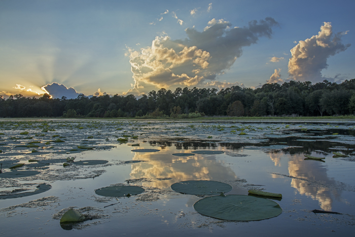 Tuscawilla Lake, located on the 600-acre Tuscawilla Prairie in Micanopy.