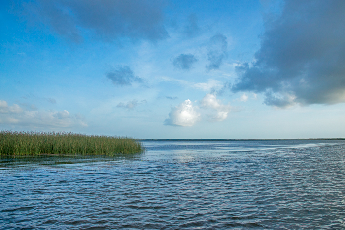 Apalachicola River