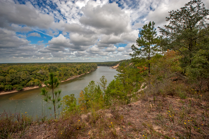 Alum Bluff above the Apalachicola River