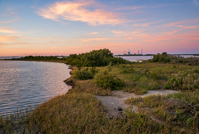 The Crystal River Power Plant, which discharges heated water into the Crystal River.