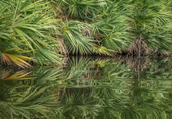 The Saint Sebastian River, a tributary of the Indian River Lagoon, is located north and west of Sebastian.