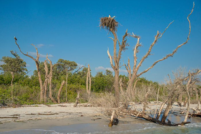 Cayo Costa