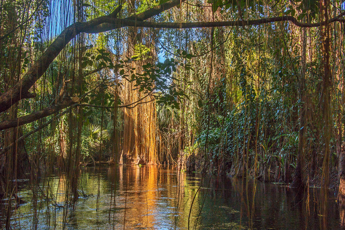 Loxahatchee River