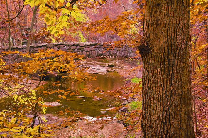 Boulder Bridge spans Rock Creek. (© Susan Austin Roth)