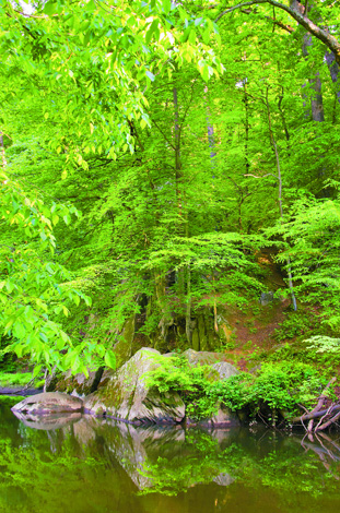 Laurel Ledge, as viewed from opposite shore of Rock Creek. (© Susan Austin Roth)