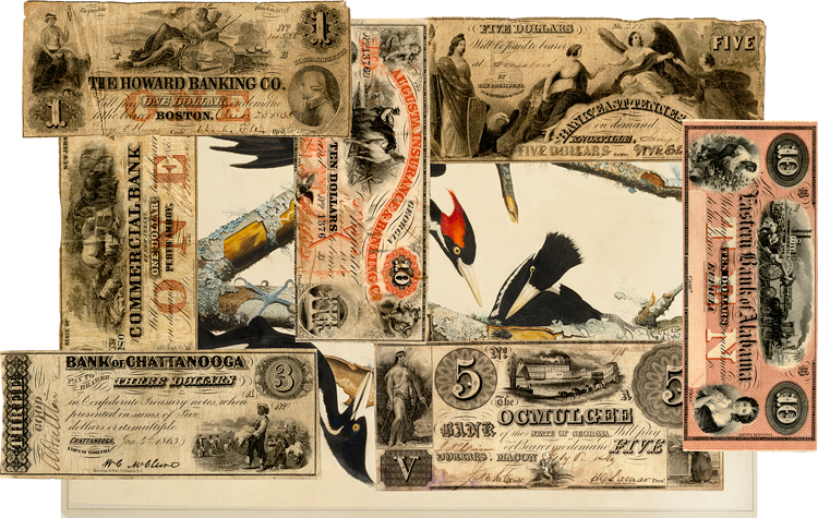 Collage entitled “The Conflict of New Economies on the Now-extinct Ivory-billed Woodpecker” (2020).
