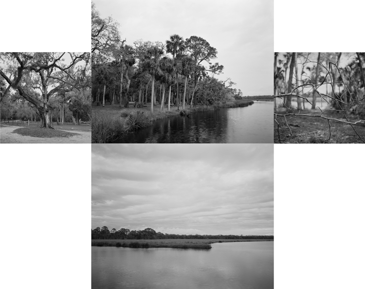 Bulow Plantation and Historic State Park in Flagler Beach, Florida (2018).