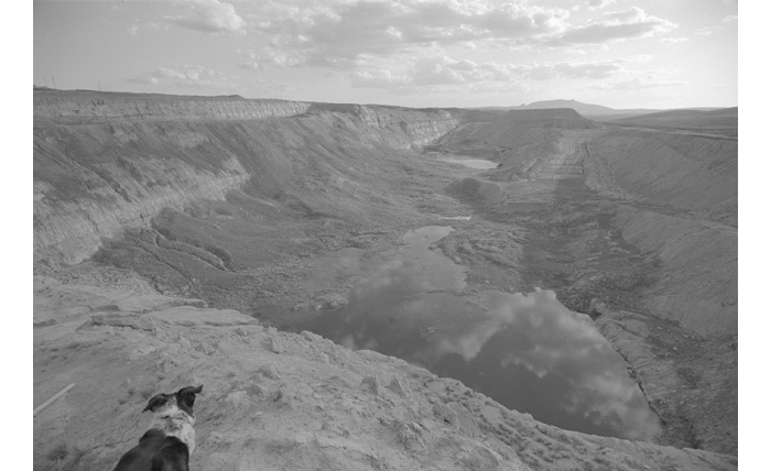 Near Battle Mountain, NV, 2002.