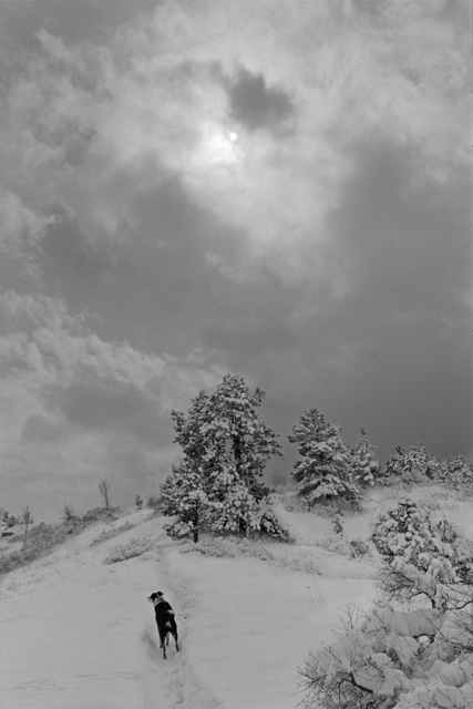 Near Boulder, CO, 2004.