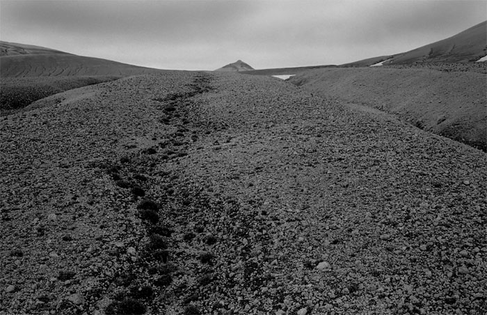 Bear tracks and the distant summit of Baked Mountain, 2002.  (© Gary Freeburg)