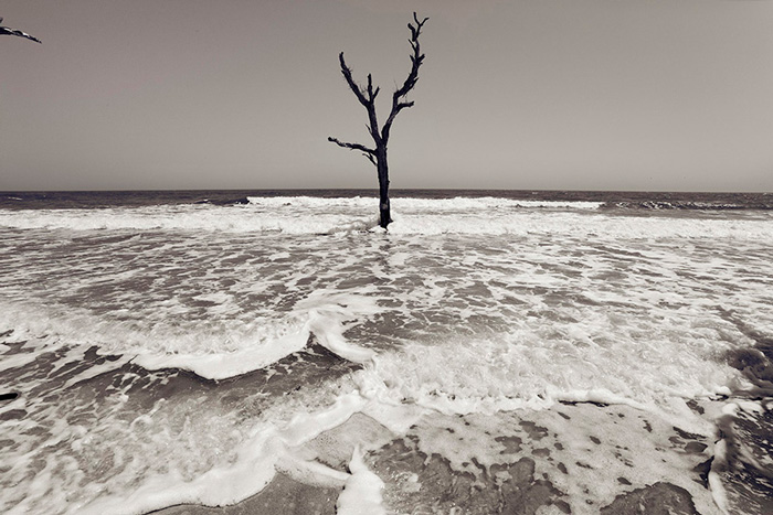 Botany Bay, South Carolina