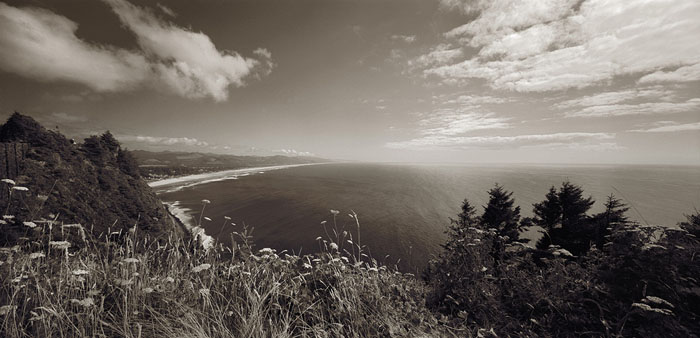 Ecola State Park, North of Cannon Beach, Oregon.