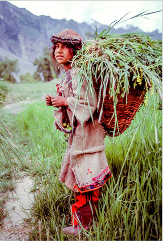 Balti farmer on the trail to K2, Pakistan, 1986.