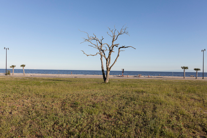 Gulfport, MS: Elevation Nine Feet.