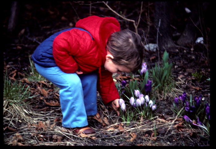 As deep values about childhood become clear, parental stewardship increases, often resulting in the emergence of small volunteer-led projects to benefit a neighborhood.