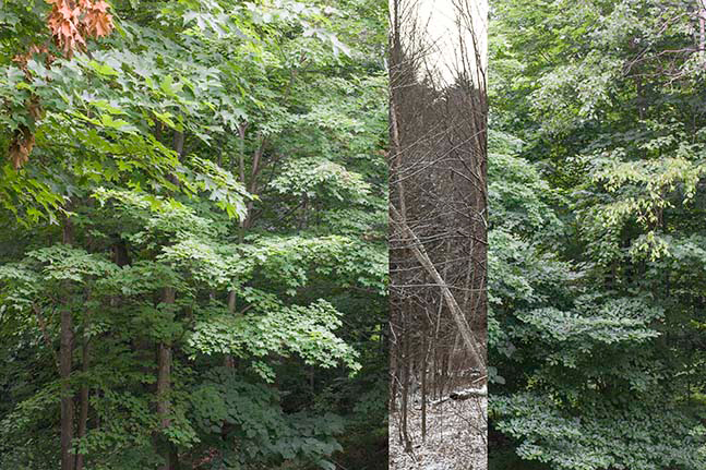 Snake Mountain North, View South: Summer/Autumn; 22 July 2008 and 7 December 2008.