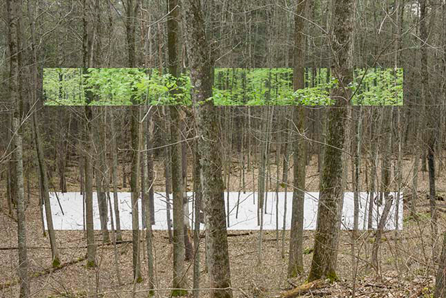 Near Arnold Bridge over Otter Creek, View East: Spring/Spring/Winter; 17 April 2011 (background), 18 May 2011, and 21 December 2010.