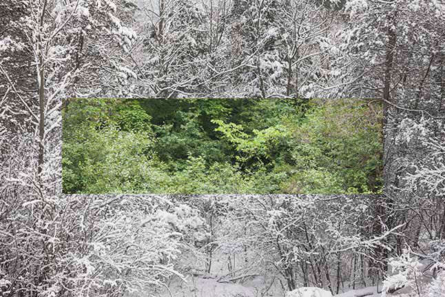 Snake Mountain North, Near Pond, View Southeast: Spring/Winter; 16 June 2010 and 29 December 2009.