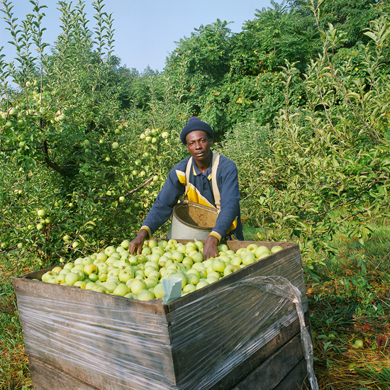 Fruit Hill Orchard, Winchester, VA.