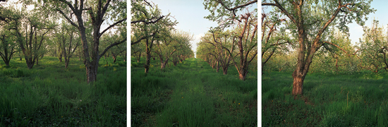 Fruit Hill Orchard, Winchester, VA.