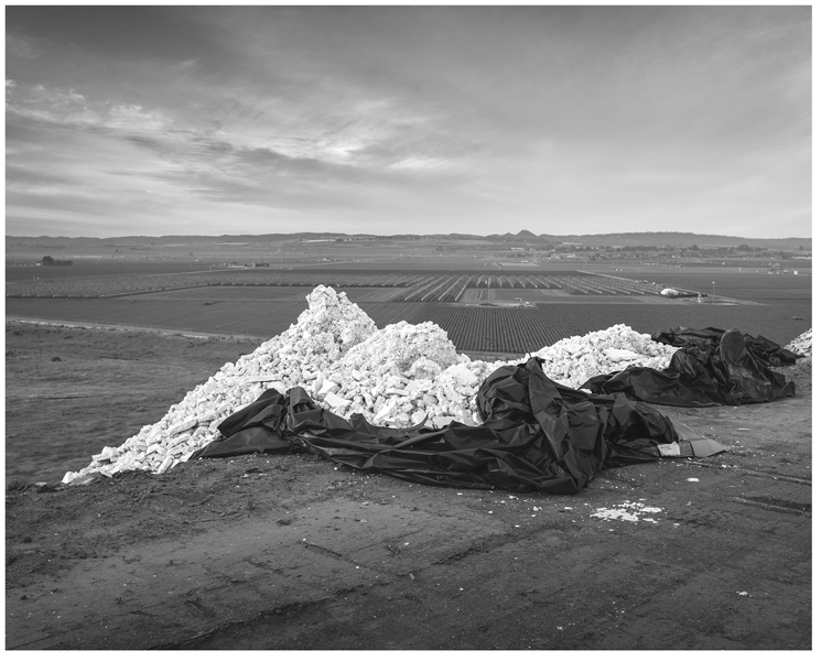 Remediated soil at the landfill.