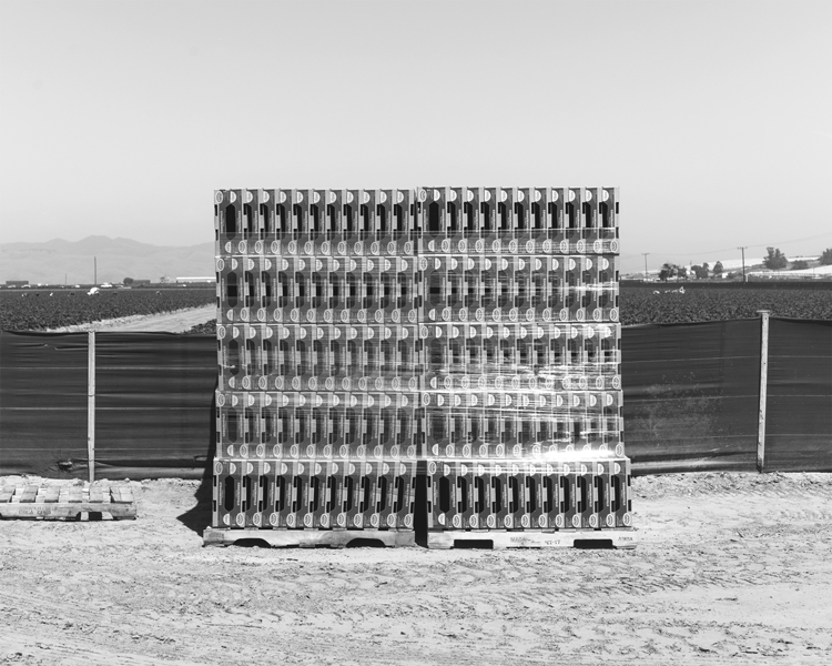 Strawberry containers, Santa Maria.