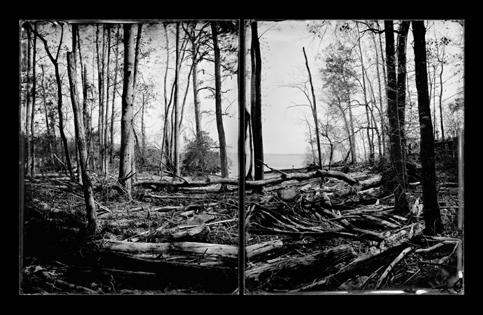 Driftwood at Cove’s Edge, Charles City County, Virginia (diptych), James River, 2012