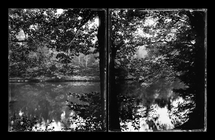 Trees, Lisbon, Maine (diptych), Androscoggin River, 2011