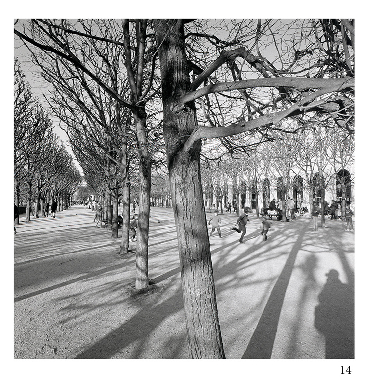 Jardin du Palais Royal, 2019