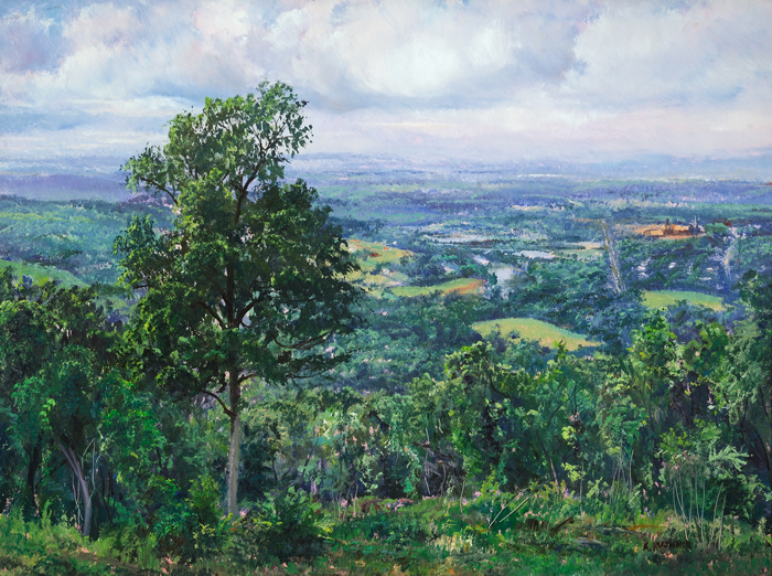 Late Spring, Shenandoah Valley from Skyline Drive