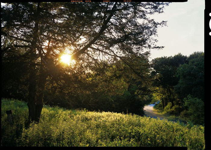 Late summer light. (© Stephen Longmire)