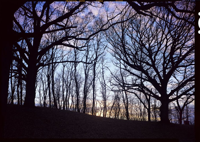 Winter light. (© Stephen Longmire)