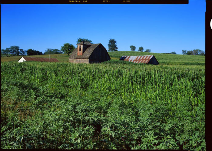 Euro-American settlement began here during the early 1830s.  (© Stephen Longmire)