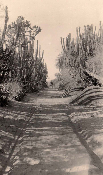 On the outskirts of Celaya, Mexico.