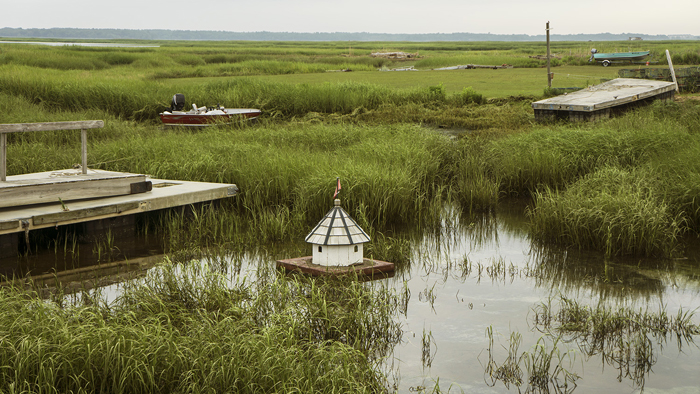 On Pentucket/Pawtucket and Agawam homelands. Parker River watershed. Newbury, 2015.