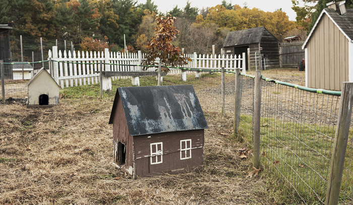 On Nipmuc and Pocumtuck homelands. Rabbit houses. Hadley/Norwottuck, 2019.