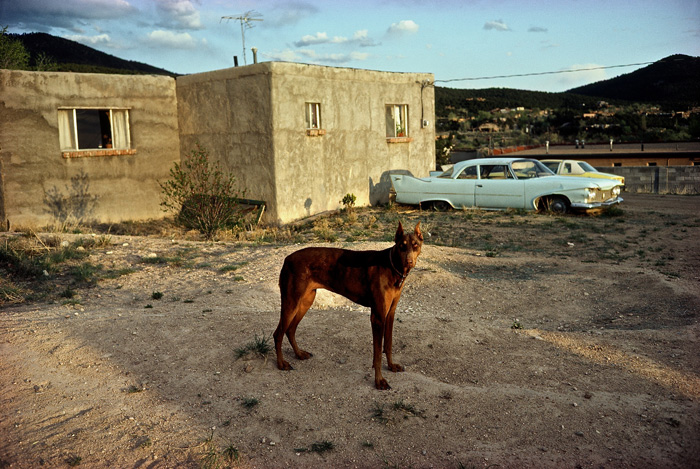 Sienna, Gonzales Lane, Santa Fe, 1983