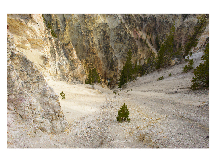 At the north rim of the Grand Canyon of the Yellowstone River (2015).