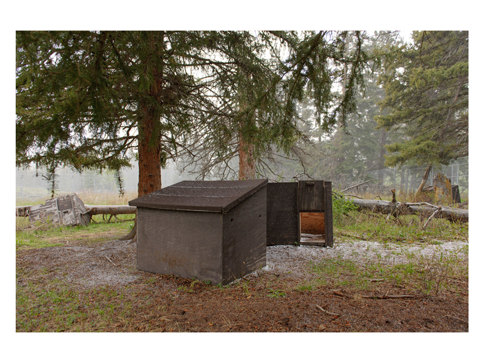 Rose Creek acclimation pens used during the Wolf Reintroduction Program of 1995–1996 (2012).