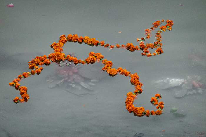 A mala in the Ganga. Flower garlands are given to most of the gods in their temples; the river Herself is the temple to Ganga, and the garland adorns her “body.” Also, some people might throw their leftover mala from other deities into Ganga, as the remover of impurity.