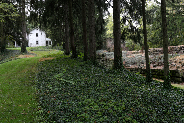 1828 Lock tender’s house and original 1820s lock at Laurel Locks 52/53, looking upstream, North Coventry Township, 2017.