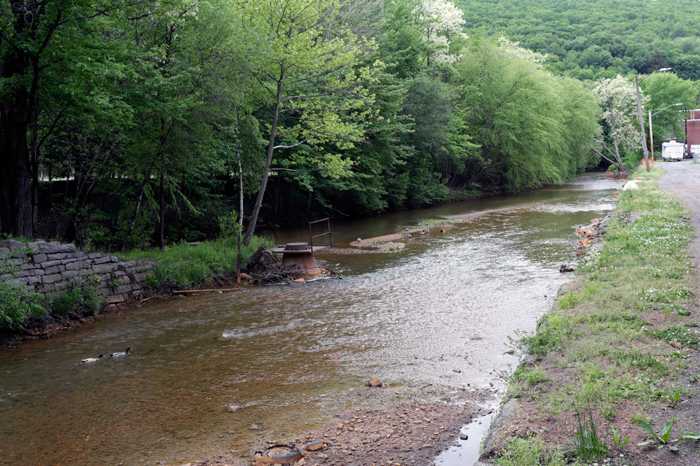 Head of Navigation 1828–1853. Ducks heading down Mill Creek near its confluence with the Schuylkill River, Port Carbon, 2021.