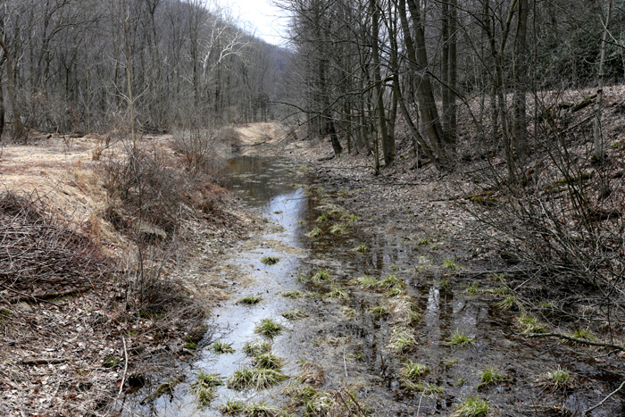 Reading Blue Mountain & Northern Railroad, looking downstream, North Manheim Township, 2018.