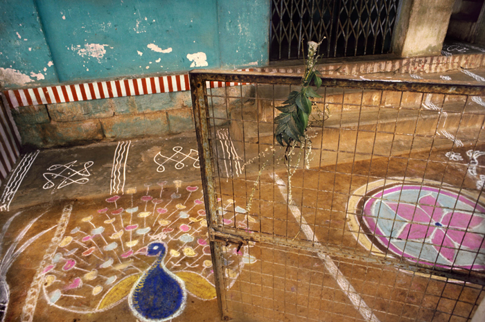 Pongal diagram with tulsi leaves, Madurai, Tamil Nadu, 1986.