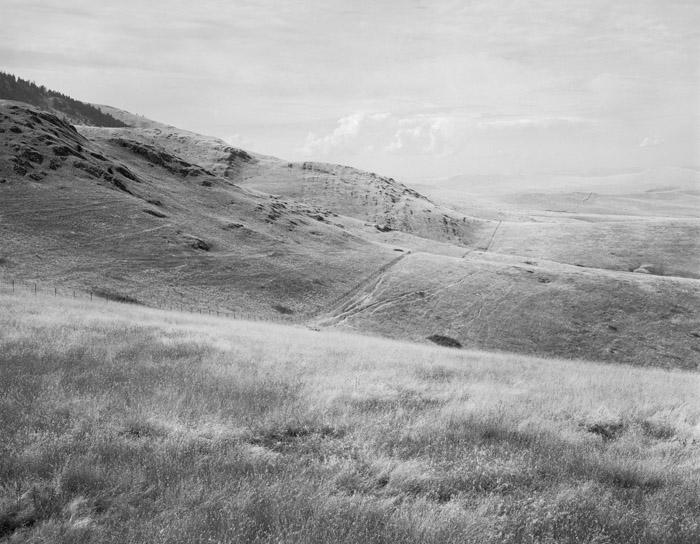 National Bison Refuge, Montana, 1987.  (© William Sutton)