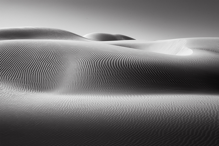 Oceano Dunes #116, CA, 2019.